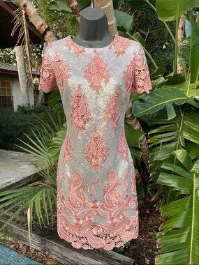 pink lace and silver metallic sequin dress